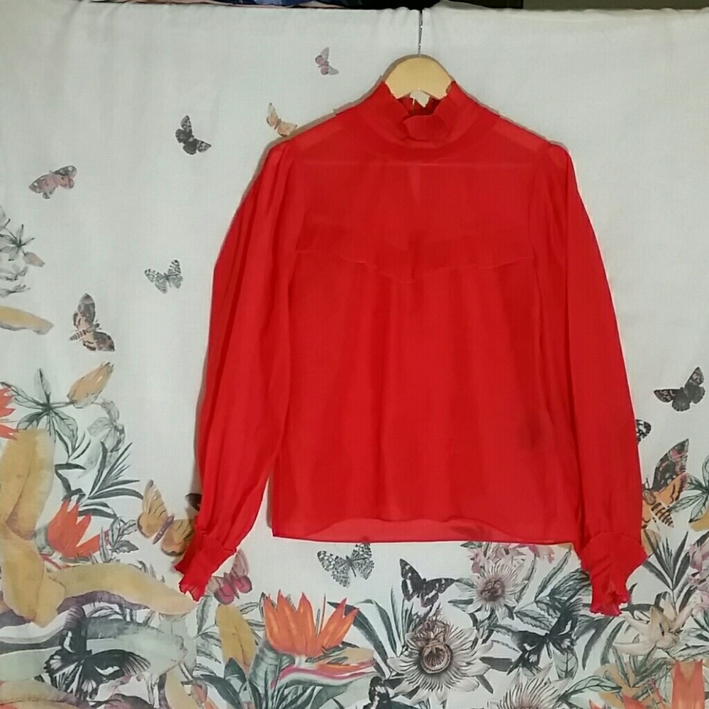 Organza Wide Sleeve Blouse